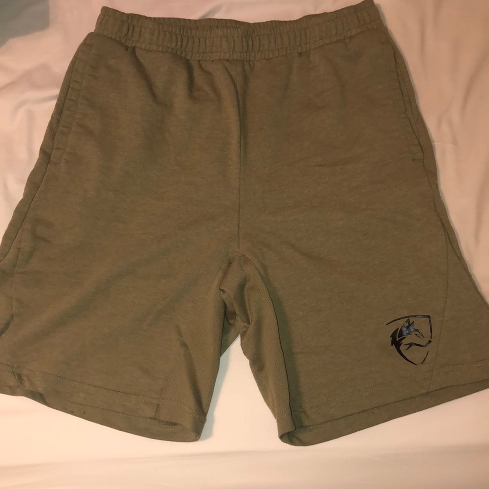 Alphalete Rec Shorts